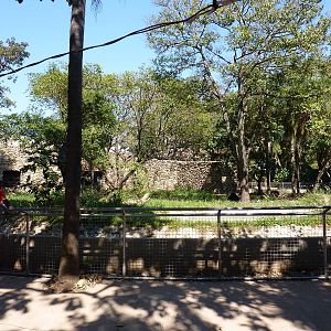 Spectacled bear exhibit