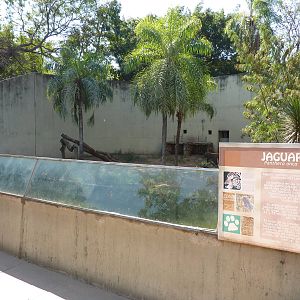 Jaguar enclosure