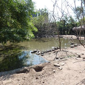 Mixed-species enclosure