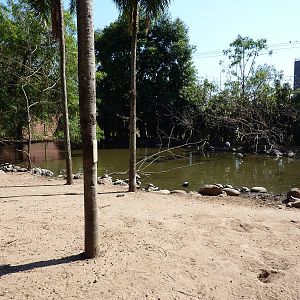 Mixed-species enclosure