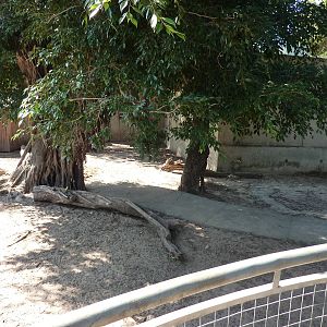 Mixed-species enclosure