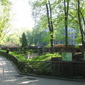 Roe deer enclosure 2011