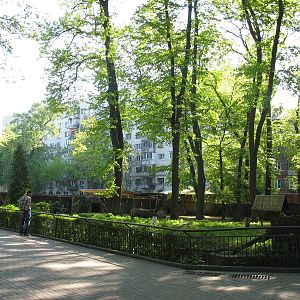 Roe deer enclosure spring 2011
