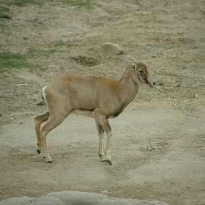 san_diego_2009_set_2_139