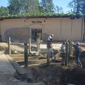 LAIR Construction Workers