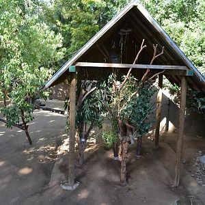 Koala/Western Gray Kangaroo/Tammar Wallaby Yard