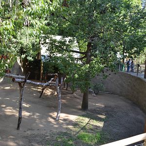 Koala/Western Gray Kangaroo/Tammar Wallaby Yard