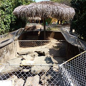 Armadillo enclosures