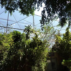 Large walkthrough aviary