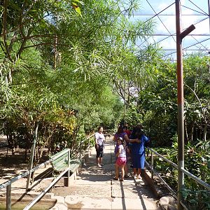 Inside the walkthrough aviary