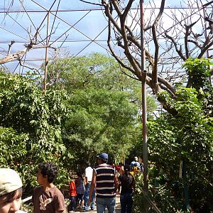 Inside the walkthrough aviary
