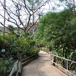 Inside the walkthrough aviary