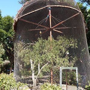 Macaw aviary