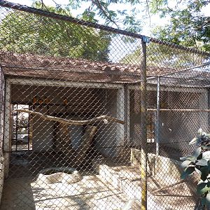 Blue-throated macaw enclosures