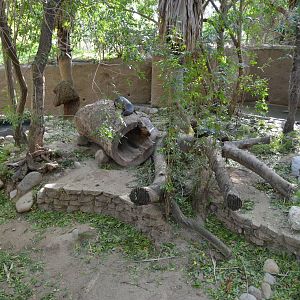 Giant Otter Habitat