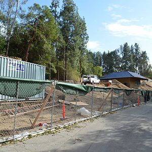 Rainforest of the Americas Construction Site - December 2, 2011