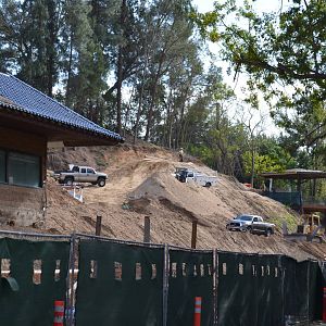 Rainforest of the Americas Construction Site - December 2, 2011