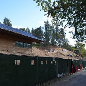 Rainforest of the Americas Construction Site - December 2, 2011