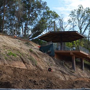 Rainforest of the Americas Construction Site - December 2, 2011