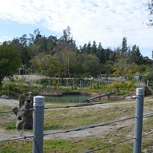 Elephants of Cambodia - Elephants of Asia