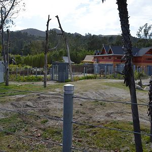 Elephants of Cambodia - Elephants of Asia