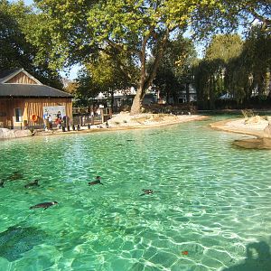 View of Penguin enclosure