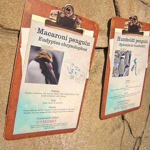 View of Penguin Signage