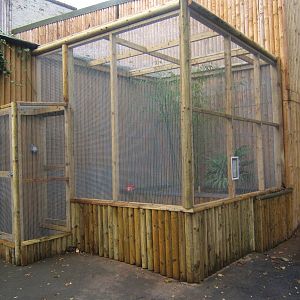 Aviary under construction