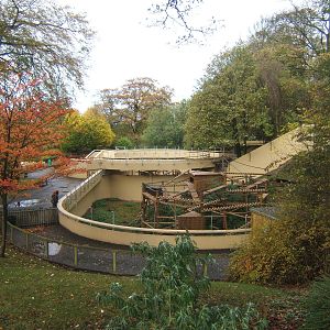 View Of Gelada exhibit