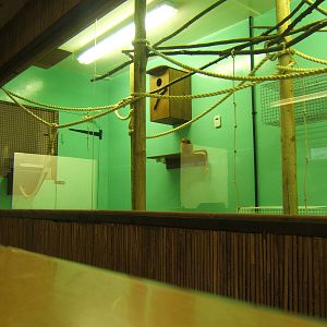 Golden Lion Tamarin Quaratine Housing