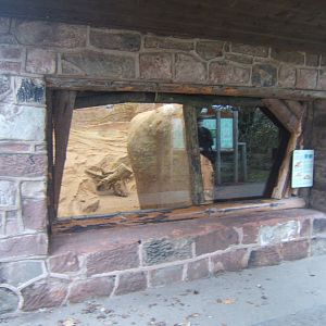 View of work for Aardvarks