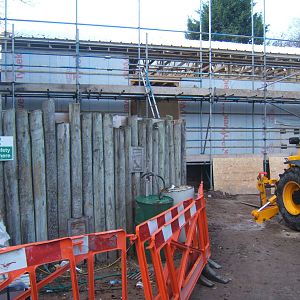 View of construction of Giant Otter House