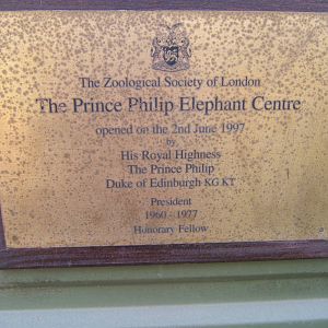 Plaque for the opening of the Elephant House