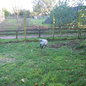 View of the closed Bird Garden