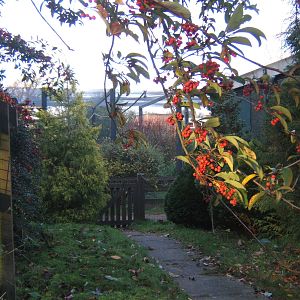 View of the closed Bird Garden