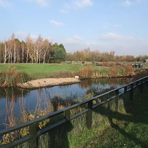 Frozen North Waterfowl Pen at London WWT (Barnes), 15/11/11