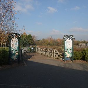 Frozen North Waterfowl Pen at London WWT (Barnes), 15/11/11