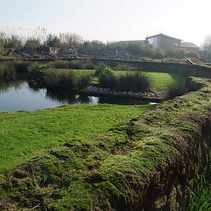 Frozen North Waterfowl Pen at London WWT (Barnes), 15/11/11
