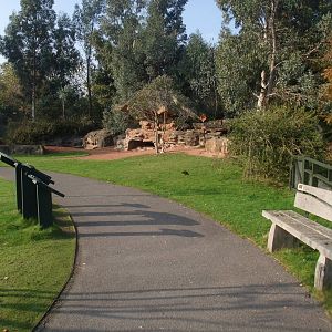 Islands Waterfowl Pen at London WWT (Barnes), 15/11/11