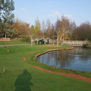 Islands Waterfowl Pen at London WWT (Barnes), 15/11/11