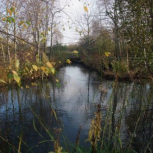 American Woodlands Waterfowl Pen at London WWT (Barnes), 15/11/11