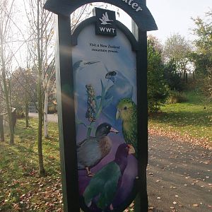 White Water Pen Entrance Sign at London WWT (Barnes), 15/11/11