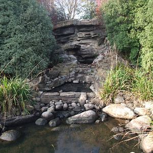 White Water Pen at London WWT (Barnes), 15/11/11