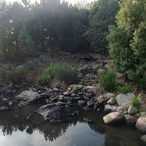 White Water Pen at London WWT (Barnes), 15/11/11