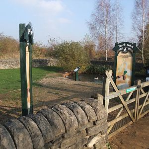 Duck Tales Pen at London WWT (Barnes), 15/11/11