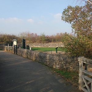 Duck Tales Pen at London WWT (Barnes), 15/11/11