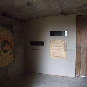 Sand Martin Hide at London WWT (Barnes), 15/11/11