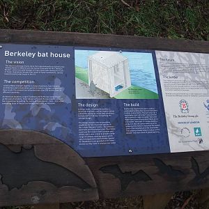 Berkeley Bat House Signage at London WWT (Barnes), 15/11/11