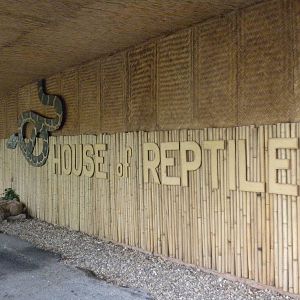 Reptile House