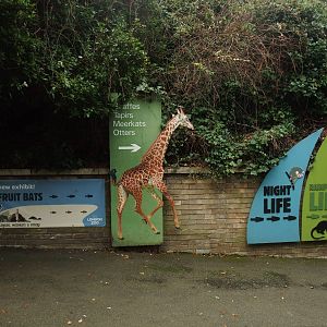 Direction Signage at London, 16/11/11